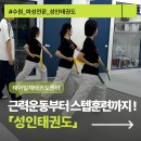 용인대국가대표KTop태권도 | [수원성인태권도]여성전문 성인태권도, 근력부터 스텝과 발차기까지 체계적으로 배우기