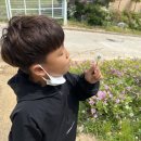 모던빌펜션 네이버블로그