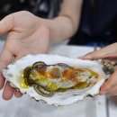 여름 굴? 삼배체굴 노량진수산시장 가격 파는곳 지중해식 드레싱해서 먹는법