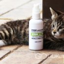 (주)에코아이엠 이미지