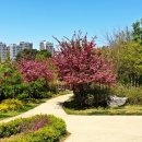 푸른수목원 이미지