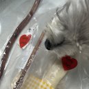 콩셰프 | [강아지 간식] 콩셰프 수제간식 내돈내산 후기