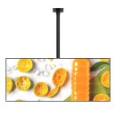 상업용 81 이미지