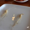 팔당산삼수목원 이미지