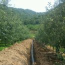 운학농장 이미지