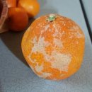 우주화공약품 이미지