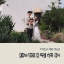 봄달리 | 6개월 아기랑 제주도 키즈 프렌들리 펜션 봄달리 봄 객실 숙박 후기