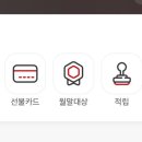 매머드 익스프레스 판교중앙점 이미지