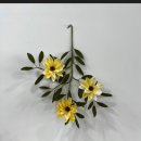 마이아오브제