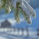 교동면옥 경북의성점 이미지