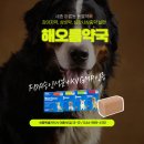 세종시티약국 이미지