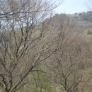 갈치저수지 이미지