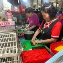 서문매점 - 중구 큰장로26길 45 | 대구 서문시장 줄서서 먹는 오꼬노미김밥 신서문김밥 솔직후기