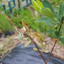 월면농장 이미지