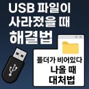 오토런 | USB 파일이 사라졌을 때 해결법 : 폴더가 비어있다고 나올 때 대처법