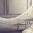 라티엔느 이미지