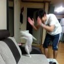 후후화방.문구