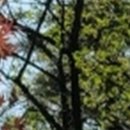 와인치과의원 이미지