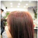 도도헤어(dodohair)