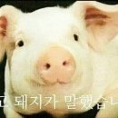 의식의 흐름 이미지