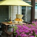 설악산오색펜션 이미지