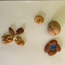 창의융합 그림책 질문놀이(초1~3) | [칠곡 행복숲유치원]STEAM 창의융합교육 - 놀이에 과학, 탐구를 더하다