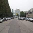 압구정-113 이미지