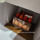 도안 더 블루힐 | 대전 하레하레 도안점 하초생 케이크 내돈내산 후기 (대전 케이크 맛집)