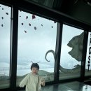 가-63 | 63빌딩 폐관 전 아쿠아리움 &amp; 전망대 방문 후기 + 점보씨푸드 솔직 리뷰