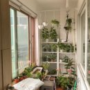 정이드는집 이미지