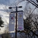 강서초등학교 옆(학교 서쪽 사잇길) | &#34;어슬렁거리며&#34;[역사산책 망우] 2. 망우역사문화 공원에서 우리나라 20세기 전반의 역사 혼백을 만나다.