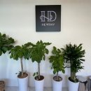 헤이데이짐 영천점 | [경기동탄] 2동탄 헬스장은 '헤이데이짐 영천점'에서 하세요(ft. 공도현샘)