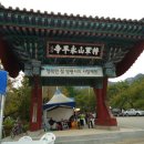 제14회 장군산 영평사 구절초 꽃축제 이미지