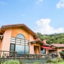 섬진강 찔레꽃 언덕 이미지