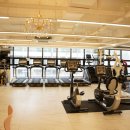 바디미라클 이미지