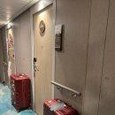 가든인어보틀 | 싱가포르 디즈니 크루즈 디럭스 오션뷰 4박 5일 후기(인어공주 테마)