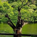 소수공인중개사사무소 이미지