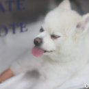 동물병원 비아츠 이미지