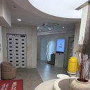 체온굿다이어트 | 신사역다이어트 더마름 강남역운동 후기