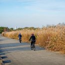 을숙도 자전거 무료대여소 이미지