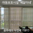 예닮이네 Daum카페