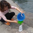 보령시 보건소 이미지