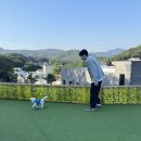 한강라면을 파는 용인 애견카페 애견운동장 별똥구리 방문후기