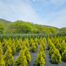 태림농장 이미지