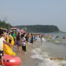 대천해수욕장 이미지