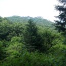 동림 행정사 이미지