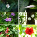 대전 가볼만한곳 한밭수목원 열대식물원, 곤충박물관 이미지
