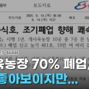 유예농장 이미지