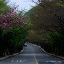 곽병원