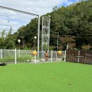 헤이, 댕댕 이미지